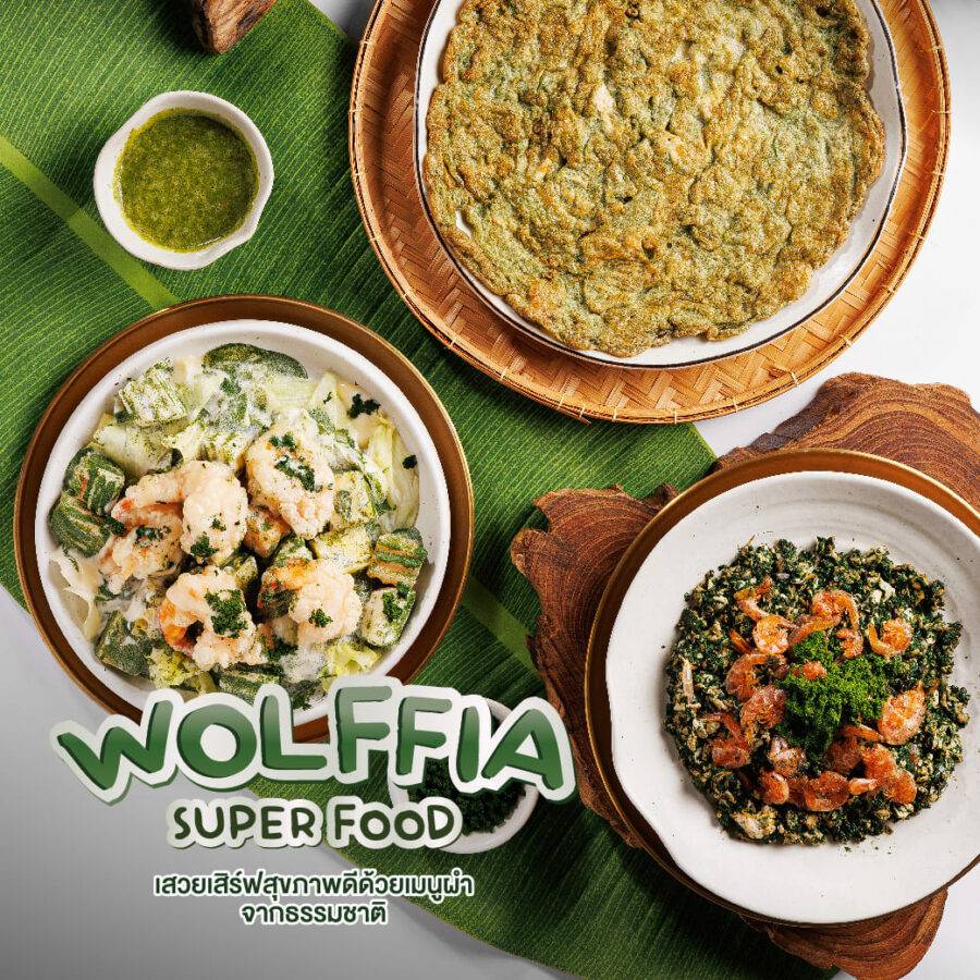 Wolffia Superfood Savoey offers wellness through delicious dishes  made with naturally sourced Wolffia.